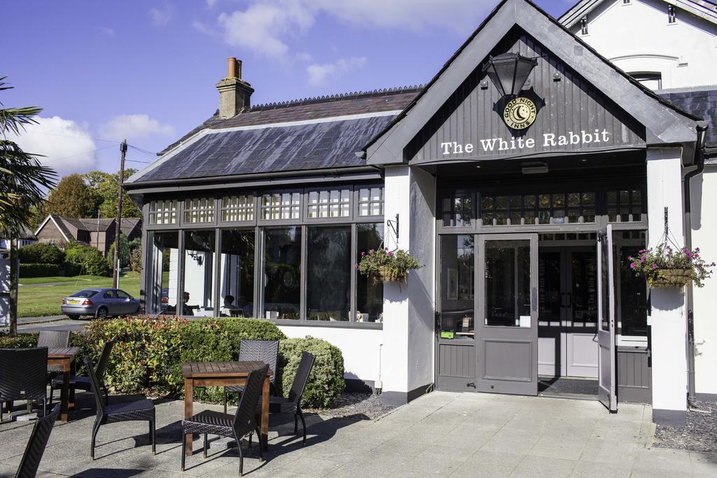 White Rabbit By Chef & Brewer Collection Lyndhurst