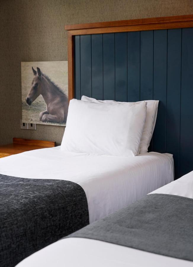 Hotel White Rabbit By Chef & Brewer Collection 3*